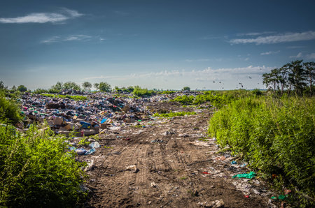 Illegal prohibited garbage dump