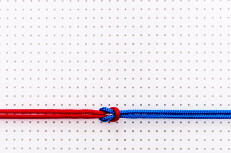 Red and blue ropes knotted with a knot on a light backgroundの写真素材