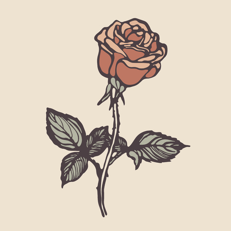 Vintage hand drawn rose. Vector illustration.のイラスト素材