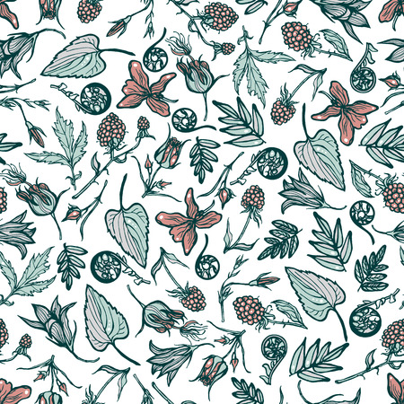 Seamless pattern with wild plants, berries, flowers. Botanical background. Cloudberry, violet, Geum Rivale, ferns, bluebells. Spring theme. Hand drawn. Vector illustration.のイラスト素材
