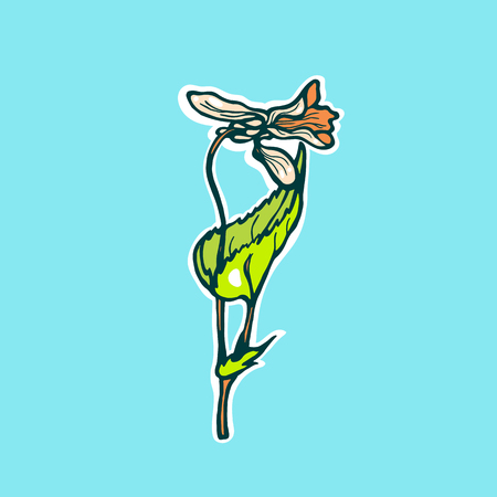 Viola odorata. Flower Forest violets blossoming in spring. Hand drawn. Vector illustration.のイラスト素材