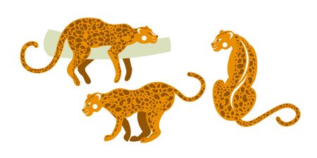 Tropical fauna of mammals. Set of wild leopards. Vector illustration.のイラスト素材