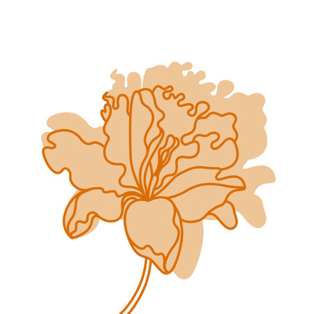 Lily flowers. Isolated flowers for design of cards, invitations, textures. Vector illustration.のイラスト素材