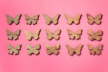 different butterflies on a pink background, background for a greeting card or banner, beautiful pink backgroundの写真素材