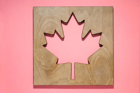 maple leaf cut in a tree, on a beautiful pink background, flag of canada, autumnの写真素材