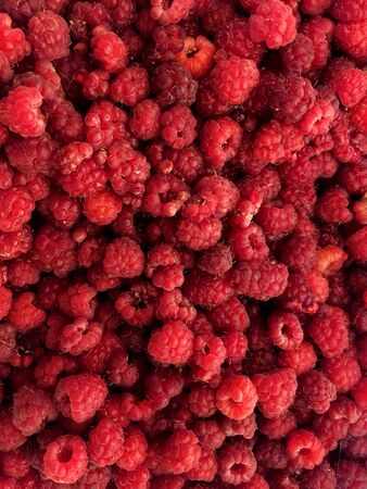 beautiful fresh raspberry background close-upの写真素材