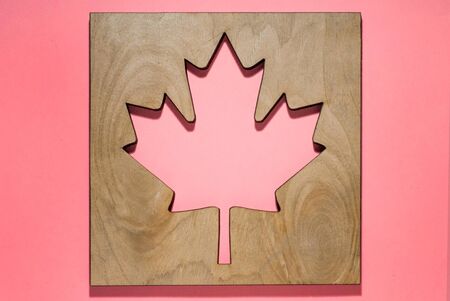maple leaf cut in a tree, on a beautiful pink background, flag of canada, autumnの写真素材
