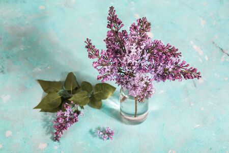 minimal composition, bouquet of lilac blossoms in glass bottle on light background. floral spring...