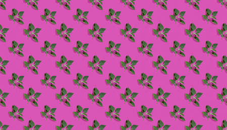 Trendy isometric Seamless continuous pattern with spring lilac green leaf. Minimalist concept on...