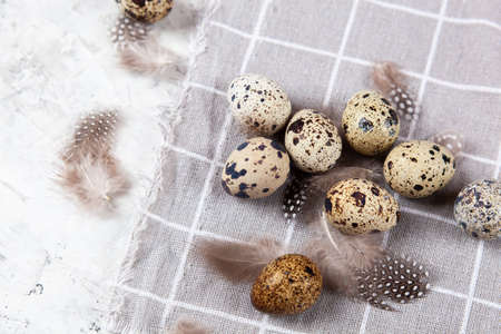 pile of Easter quail eggs on gray fabric rag on white concrete background. space for textの写真素材