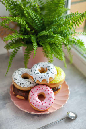 Sweet and fresh colored different donuts with chocolate frosted, glazed and sprinkles, icing topping on pink plate on concrete background.の写真素材