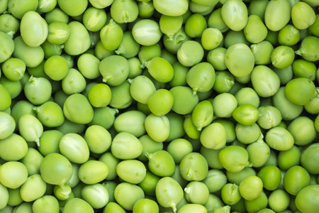 Green Pea backgroundの写真素材