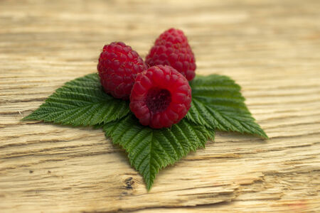 Fresh raspberriesの写真素材