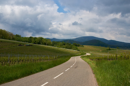 Travel wine route in France. La route des vins.の写真素材