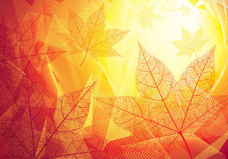 Autumn background のイラスト素材