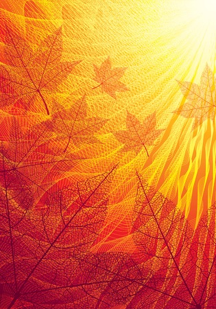 Autumn background. のイラスト素材