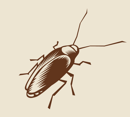 Woodcut cockroach. Eps8. CMYK. Global colors. Gradients free.のイラスト素材