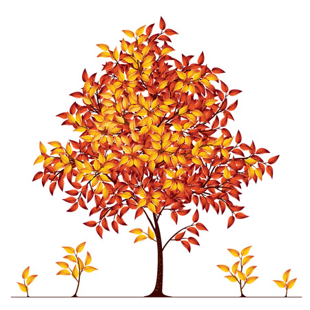 Autumn tree. Eps8. CMYK. Global colors. Gradients usedのイラスト素材