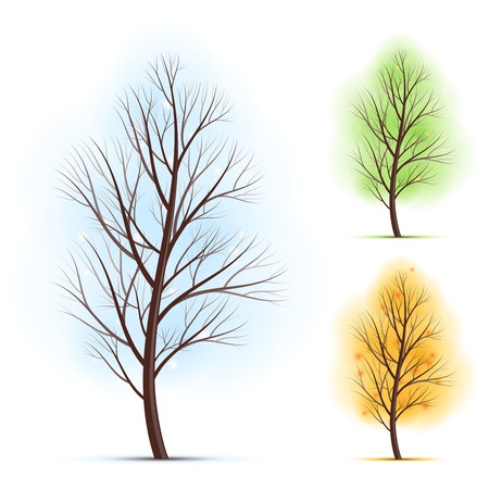 Set of three trees. RGB. Organized by layers. Global colors. Gradients used.のイラスト素材