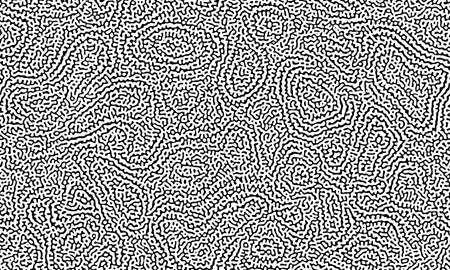 Topographic turing seamless pattern. Abstract black and white striped backgroundのイラスト素材