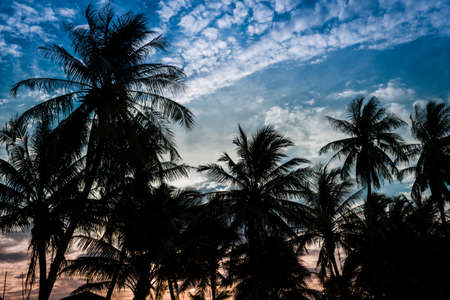 Arrayの写真素材