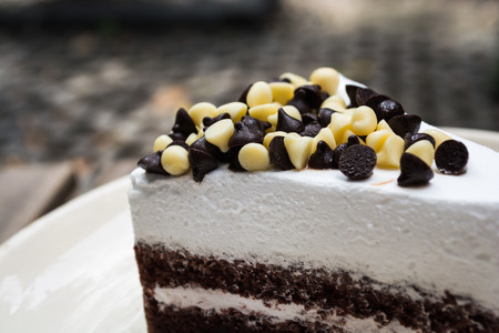 Closeup shot of chocolate chips on chocolate cake.の写真素材