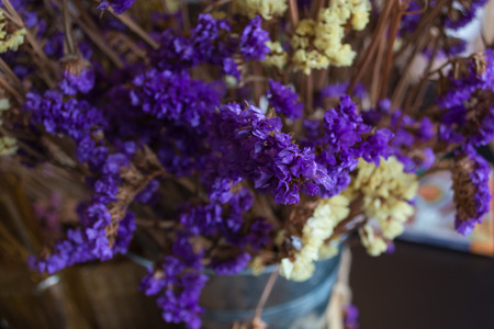 bouquet of dried flowersの写真素材
