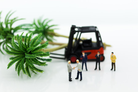 Miniature people : Businessmen make agreements on forestry. Image use for take advantage of the tree, business concept.の写真素材