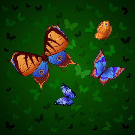 Flying bright butterflies resemble the summer, and even tropical night. Background for beauty and a sense of celebrationのイラスト素材