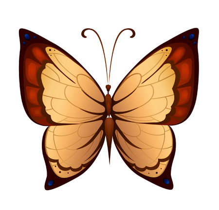 Bright butterfly for decoration designのイラスト素材