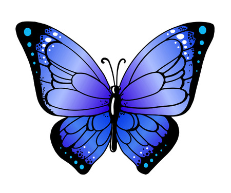 Bright butterfly for decoration designのイラスト素材