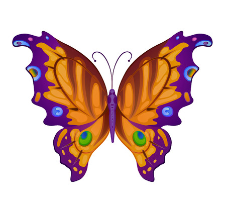Bright butterfly for decoration designのイラスト素材