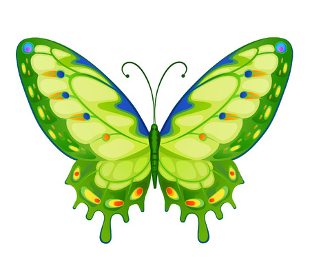 Bright butterfly for decoration designのイラスト素材