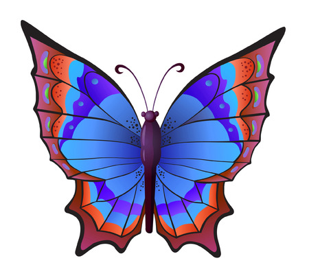 Bright butterfly for decoration designのイラスト素材