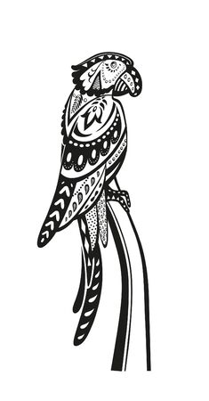The stylized figure of an parrot in the festive patternsの写真素材
