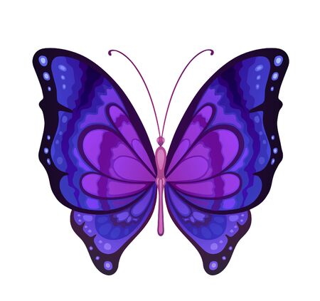 Bright colorful butterfly for beauty and decoration designの写真素材