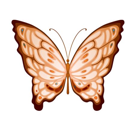 Bright colorful butterfly for beauty and decoration designの写真素材