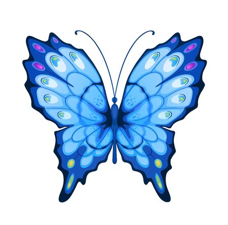 Bright colorful butterfly for beauty and decoration designの写真素材