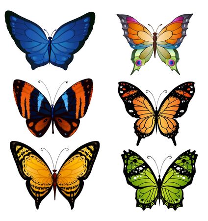 Bright color vector set of bright butterflies for decoration designのイラスト素材