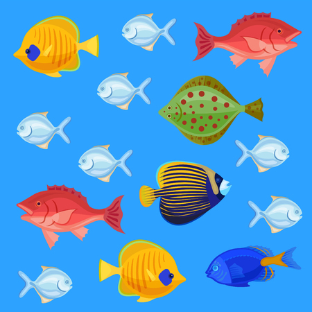 Sea and ocean fish colorful bright set. Tropical fhishes for any kind of designのイラスト素材