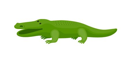 Cute cartoon little crocodile on isolated white backgroundのイラスト素材