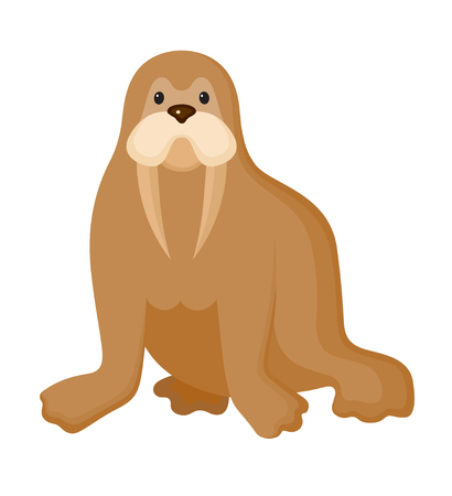 Walrus on isolated white backgroundのイラスト素材