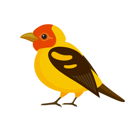 Bird with colorful feathers, isolated vector illustration.  Perfect cards or any other kind of designのイラスト素材