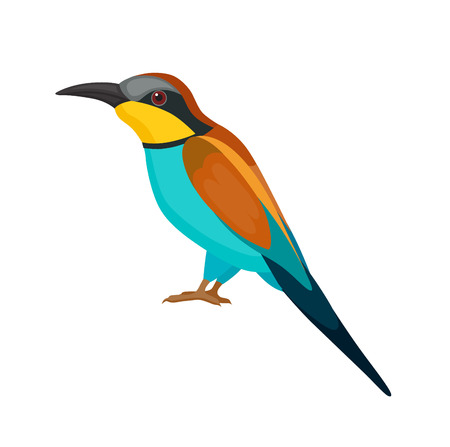 Bird with colorful feathers, isolated vector illustration.  Perfect cards or any other kind of designのイラスト素材