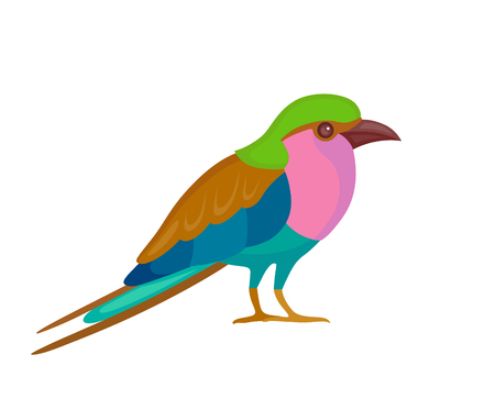 Bird with colorful feathers, isolated vector illustration.  Perfect cards or any other kind of designのイラスト素材
