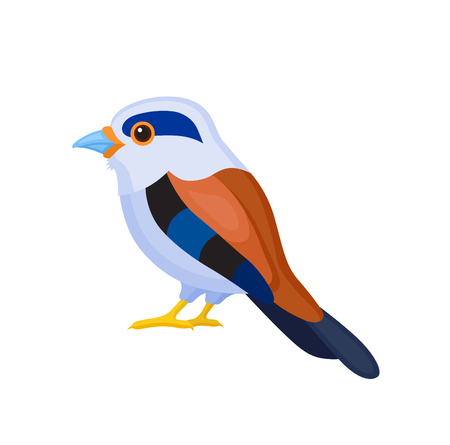 Bird with colorful feathers, isolated vector illustration.  Perfect cards or any other kind of designのイラスト素材