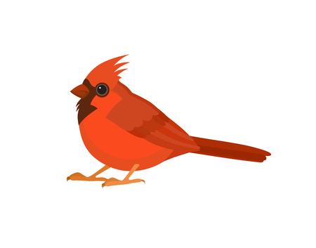Bird with red feathers, isolated vector illustration.  Perfect cards or any other kind of designのイラスト素材