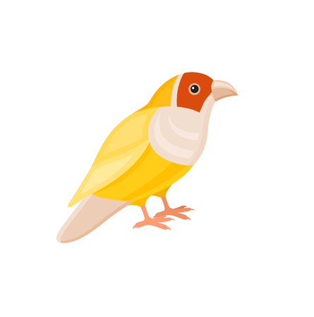 Bird with colorful feathers, isolated vector illustration.  Perfect cards or any other kind of designのイラスト素材