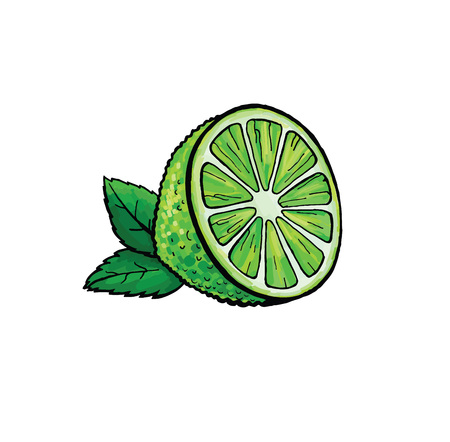 Pop art style lime patch badge. Hand drawing fruit citrus illustrationのイラスト素材