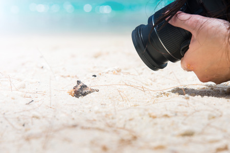 A photographer shooting a macro of shells on the beachの写真素材